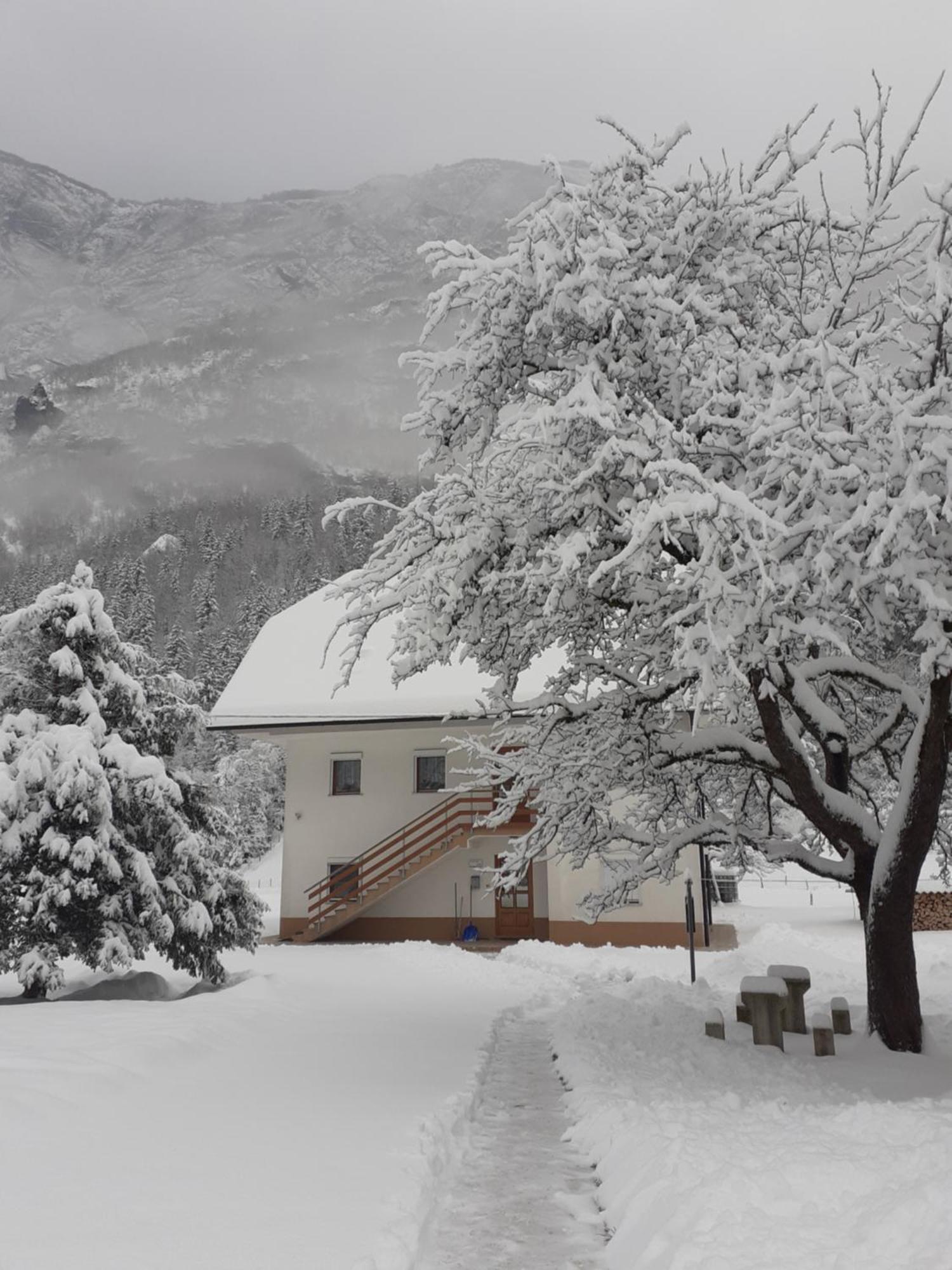 Apartma Pod Rozem Soča Exteriör bild
