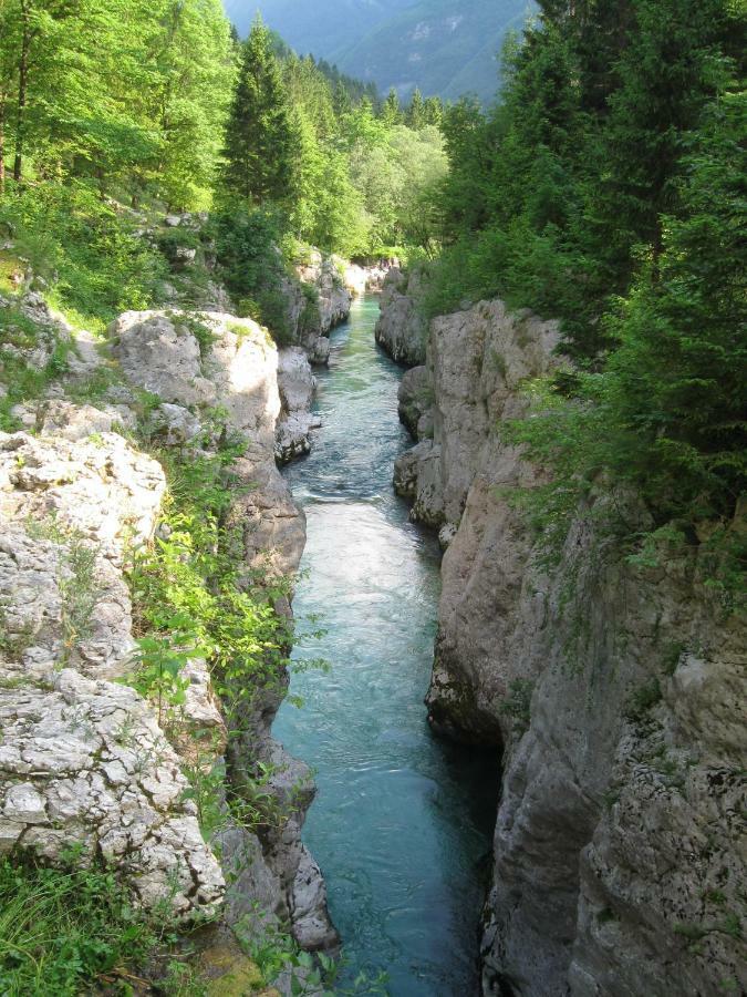 Apartma Pod Rozem Soča Exteriör bild