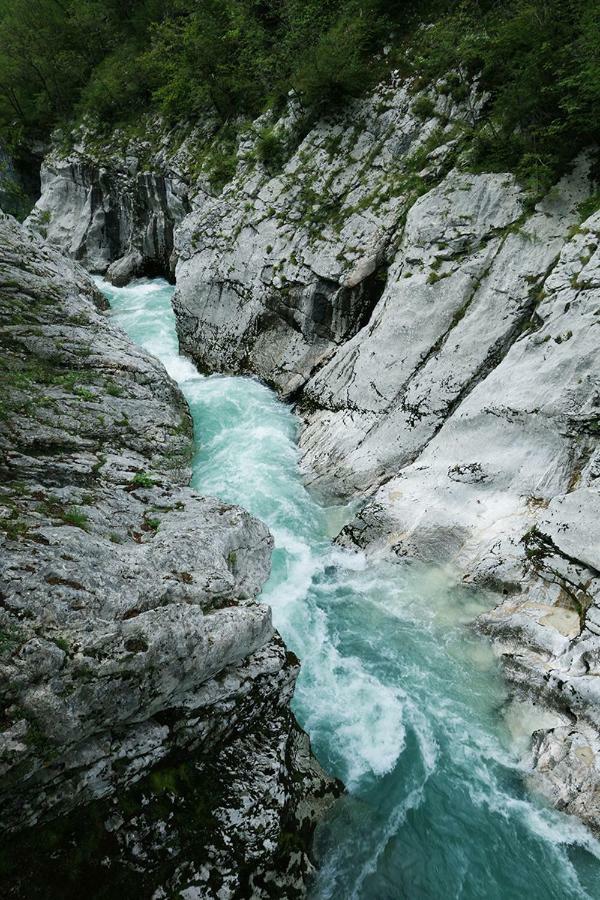 Apartma Pod Rozem Soča Exteriör bild